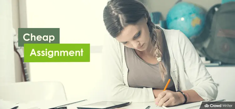 Cheap Assignment Writing Service With Zero Mistakes